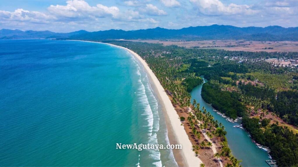 New Agutaya New Agutaya
